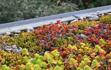 the cost of Cottwood green roof installation