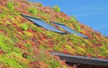 Cottwood living roof systems